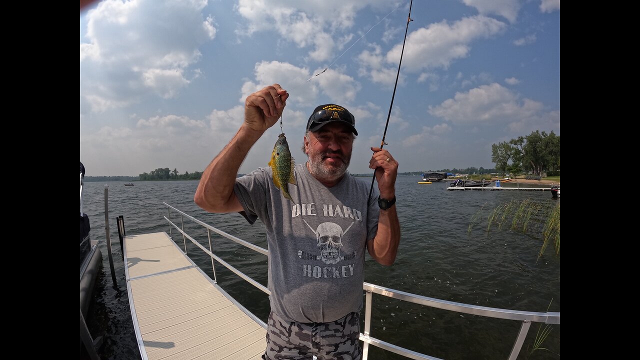 Sarasota Tim Boycott Dinger Man Crush Lies New York Dan Karl Quit using notes