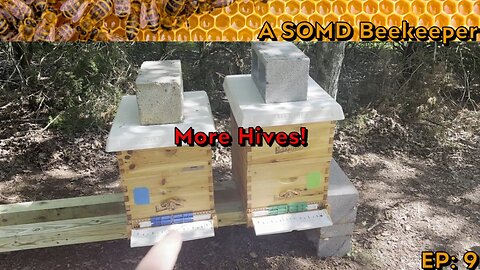 SOMD Beekeeping ep: 9 - Two more hives
