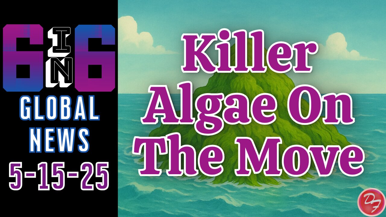 An Algae Bloom The Size Of An Island - 6-in-6 - 5/15/25