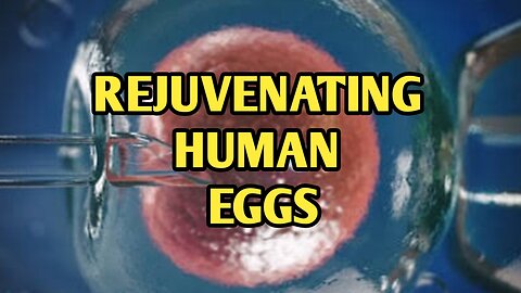 Rejuvenating Human Eggs: Boosting IVF Success Rates for Older Women