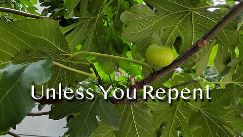 Unless You Repent - Luke 13:1-9 - 3rd Sunday in Lent, March 23, 2025