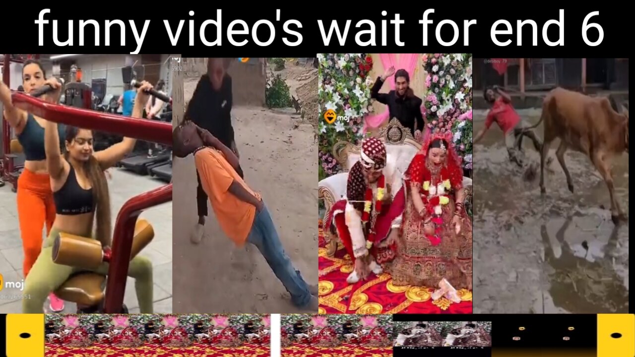 Funny videos wait for end 6