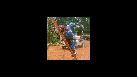 funny video