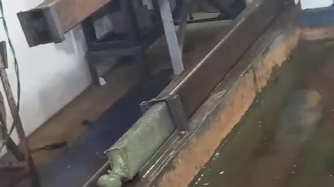 Plastic Lumber