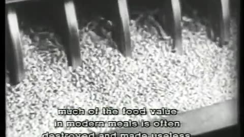 German Newsreel 564 - June 25, 1941