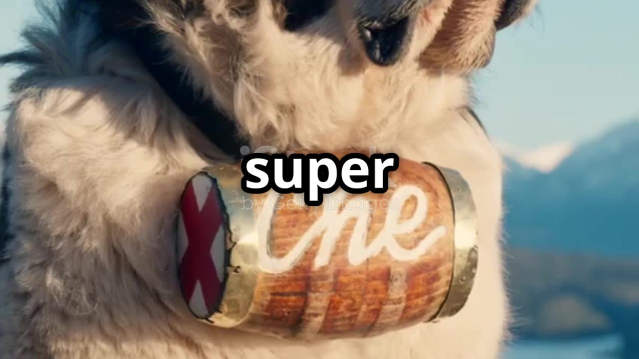 10 Surprising Facts About Saint Bernards