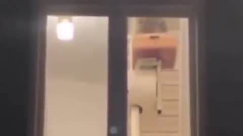 🐶❤️ Every Night, My Neighbor's Disabled Dog Goes Upstairs Like This | FunFM