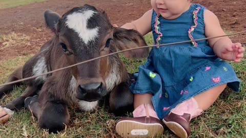Cowgirl Cuddles With Cow Calf