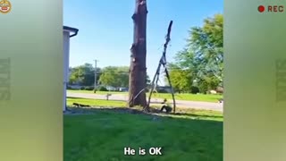 😂 Ridiculously Funny People & Their Wild Lives! 🤪
