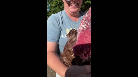 Burping a Turkey