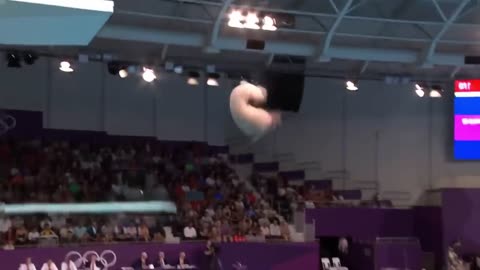 Animal Olympics, Which Animal Wins the Gold Medal?
