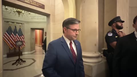 Mike Johnson says Donald Trump was 'FBI informant' to help take down Epstein