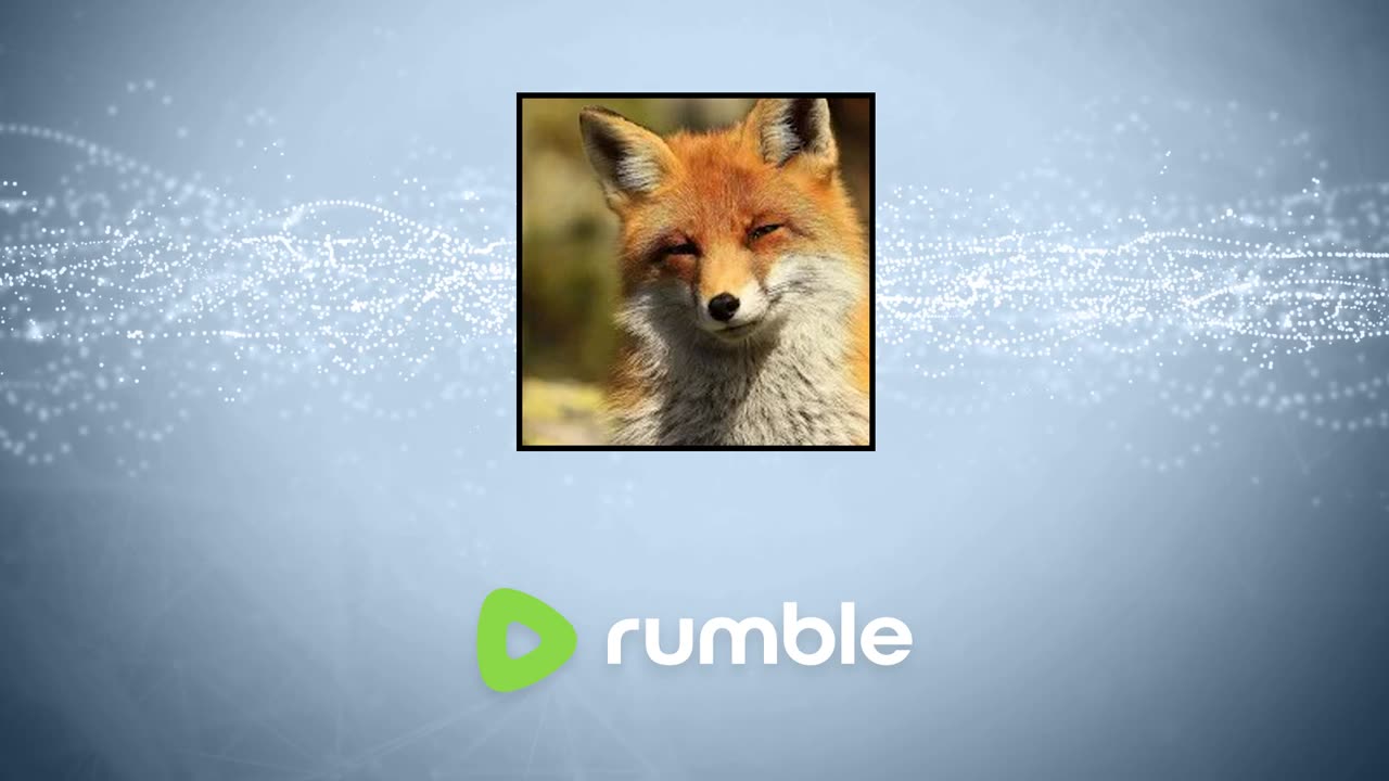 I Hate Furry/Furries/Fursonas/Fursuits