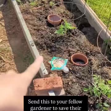 Garden watering technique