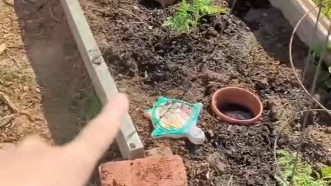 Garden watering technique