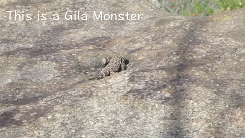 Miraval (Travel Vlog March 30 - April 2, 2014)