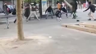 France has become a jungle without rules.