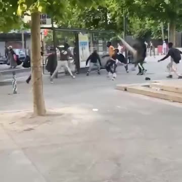 France has become a jungle without rules.