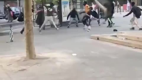 France has become a jungle without rules.