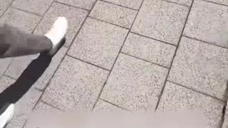 Blogueros pasan 27 horas en el baño para entrar gratis a un partido de fútbol