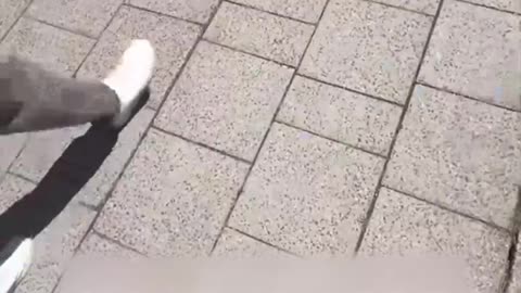 Blogueros pasan 27 horas en el baño para entrar gratis a un partido de fútbol