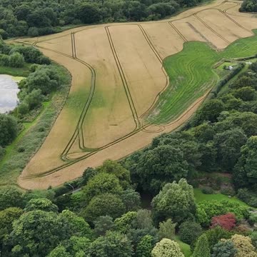 Engaging & Inspiring Video 6/8/2025