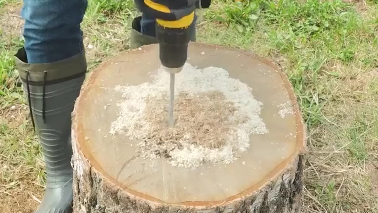 "Creating Various Furniture from Wood"