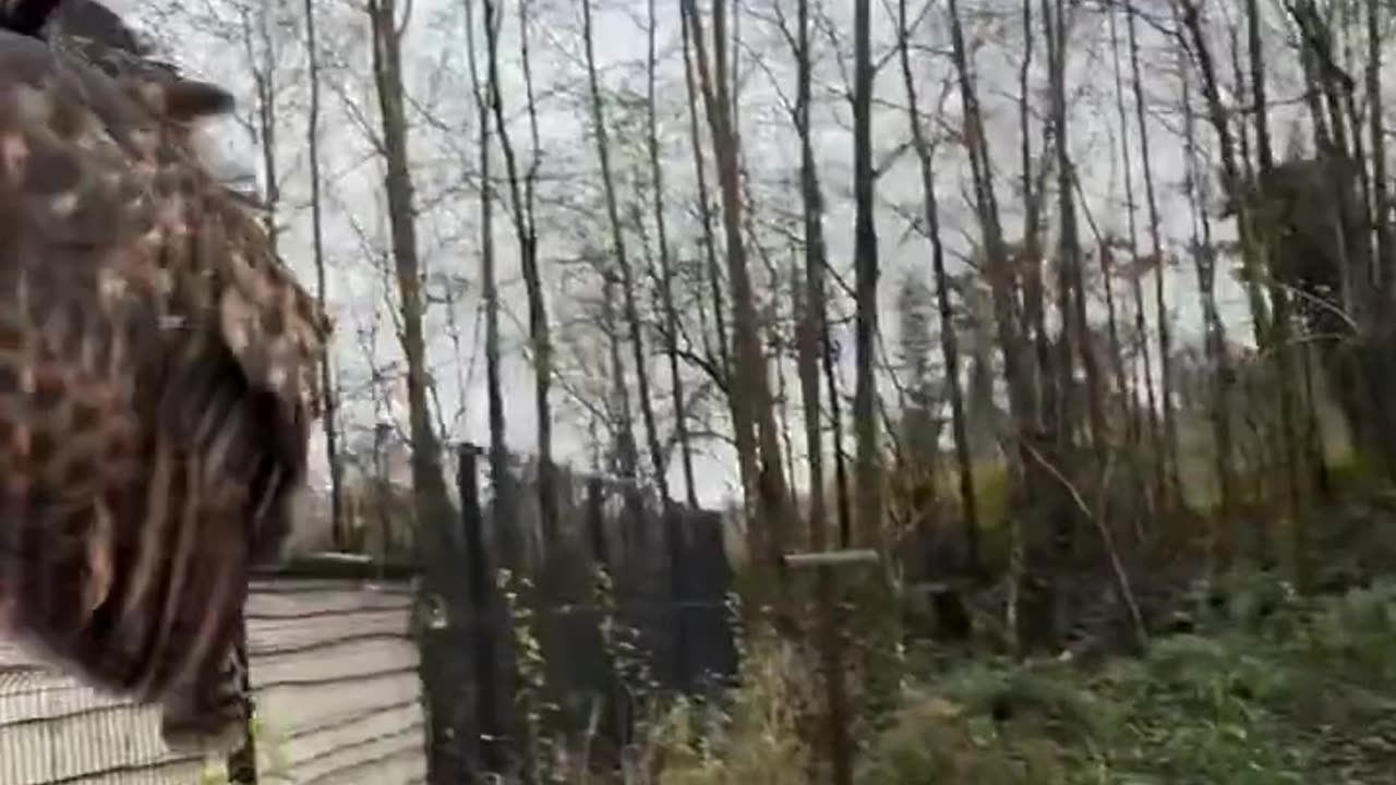 What did you call me for? 😊