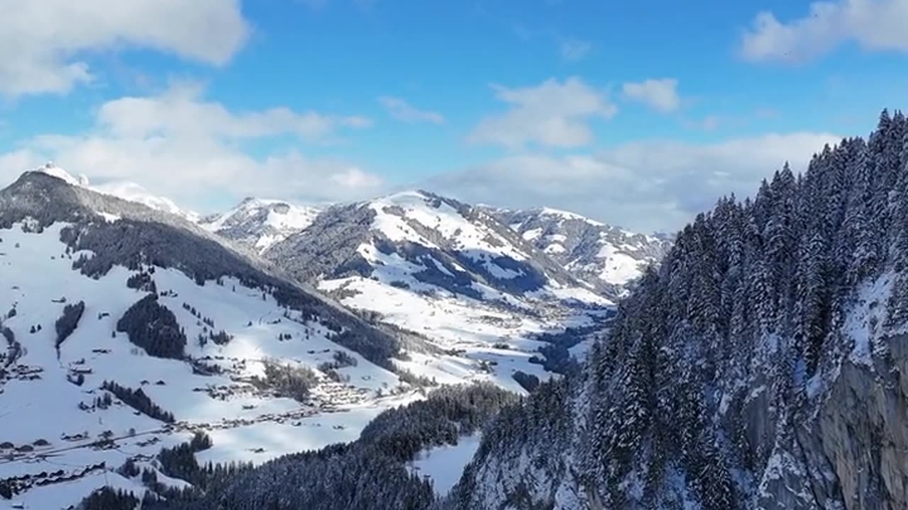 Daily Horoscope | Capricorn 🌟