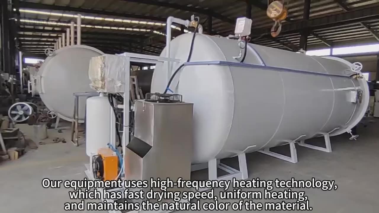 ‌Professional high-frequency vacuum dryer