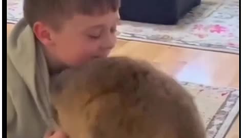 save animals