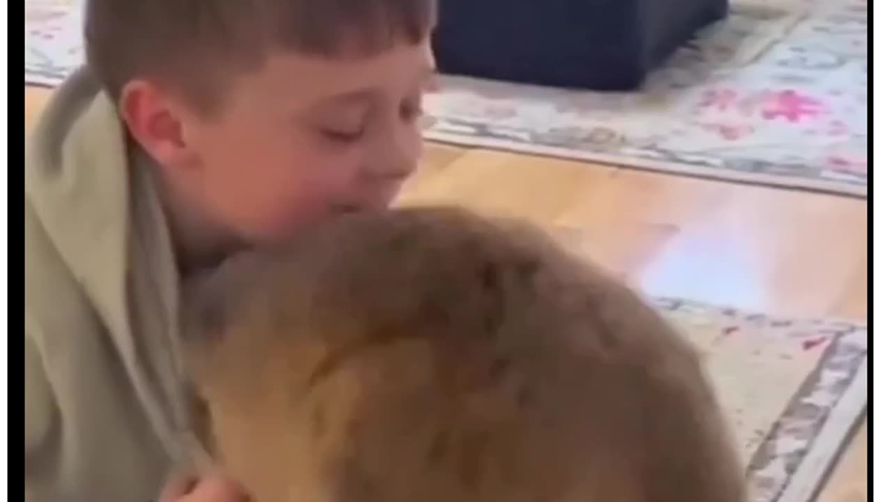 save animals