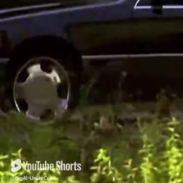 BIG AL WANNA BE A BALLER