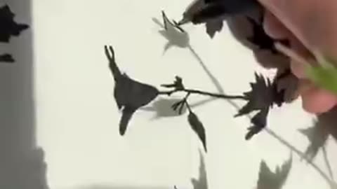 Discover the fascinating world of art where shadows become the medium of expression. #SHORT