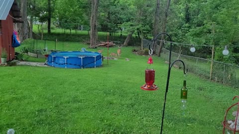 Baby Deer Want to Play With Ganesha