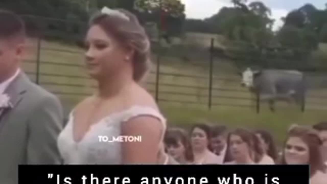 Sights, "Is there anyone who is opposed to this marriage?"😁😁