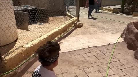 COMEDY SHORTS VIDEOS