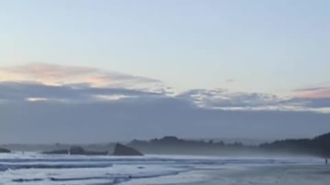 Gray Coast Tranquility