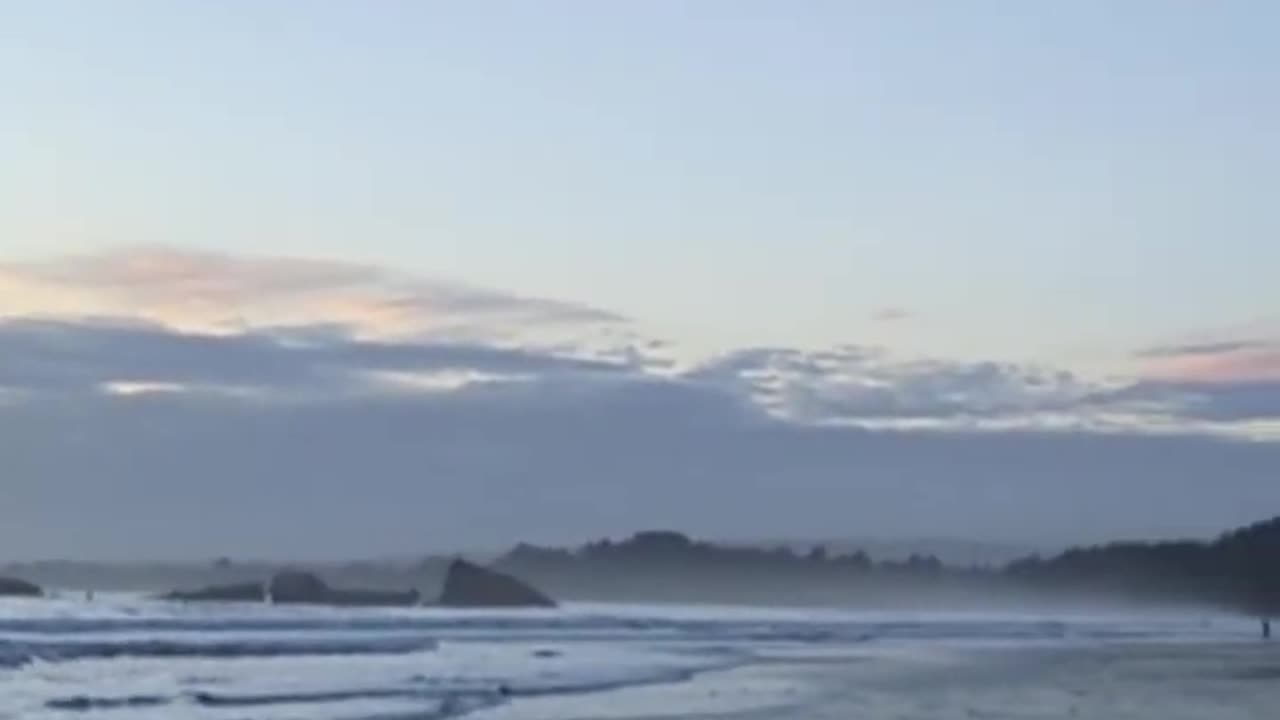 Gray Coast Tranquility