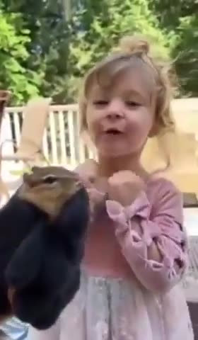 IS IT THE WAY THEY ARE RAISED OR A CONSPIRACY?