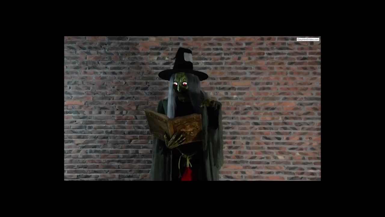 MR124250 - Spell Speaking Witch