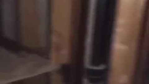 👻💀 The Scariest Ouija Board Session You'll Ever See! GhostlyTokSa | TheHauntingHour