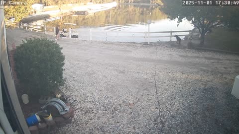 Girls' Golf Cart Joyride Goes Wrong