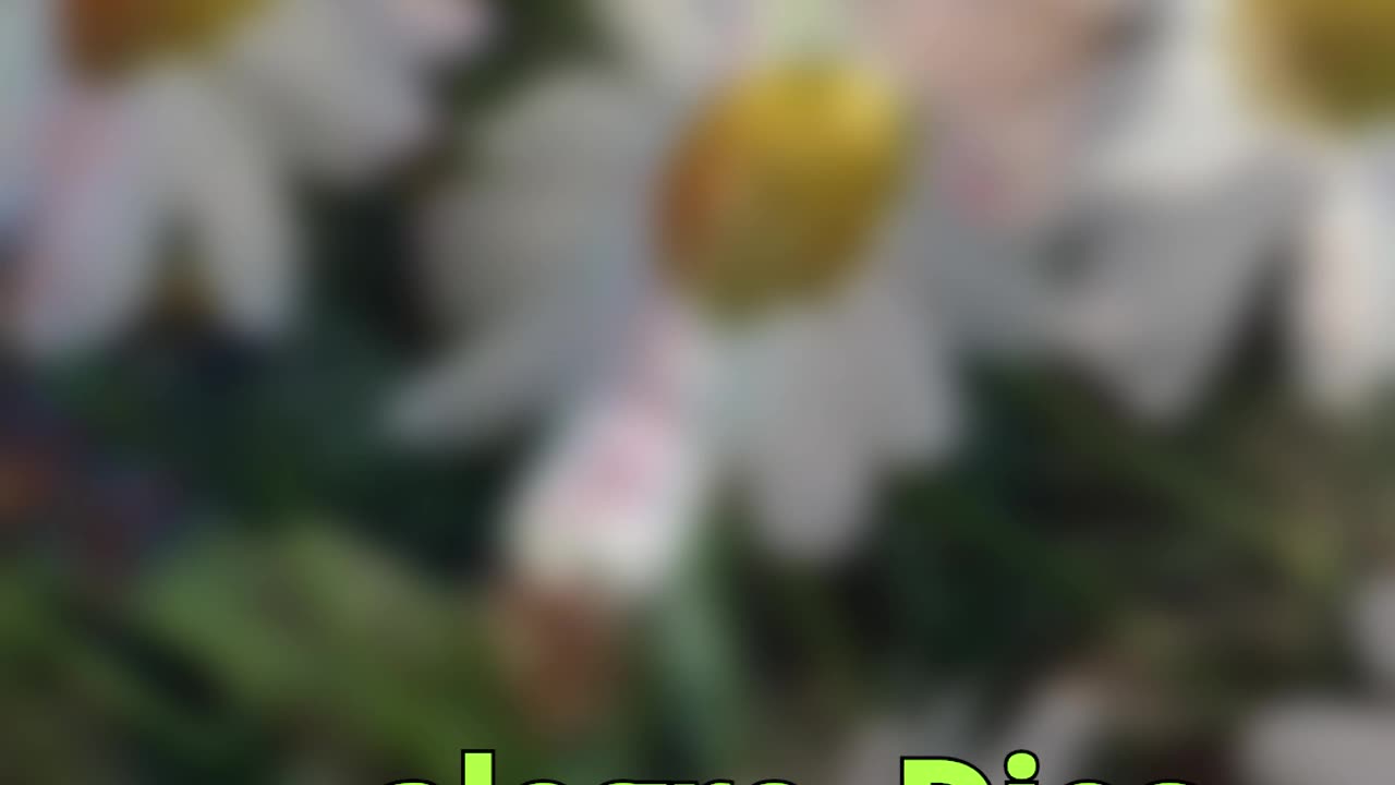 😊 79 ¿ESTÁS DISPUESTO A SEMBRAR CON FE? 2 Corintios 9:6-7 😊