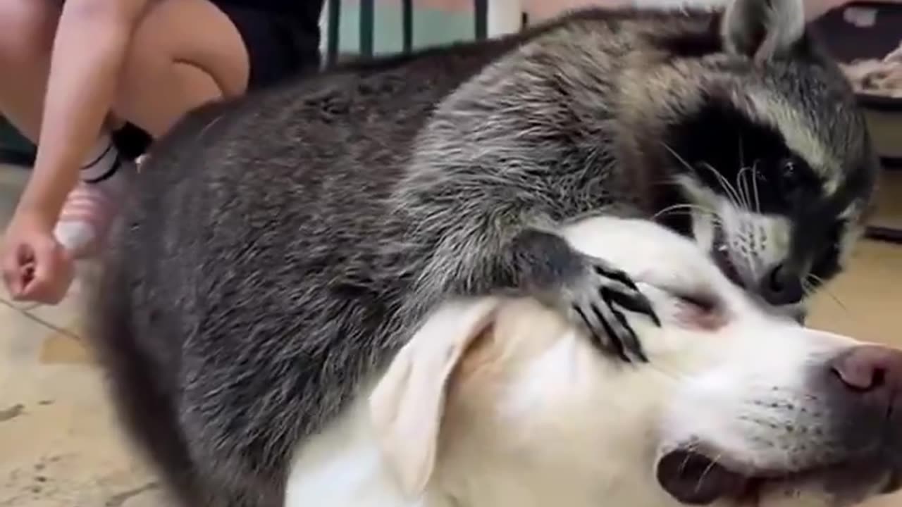 Aww What a beautiful friendship 💕