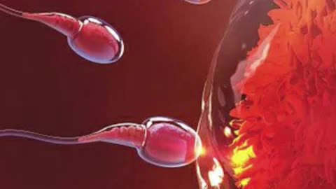 The Woman’s Eggs Are Not Dead — The Hidden Power of the Mitochondria 🔥