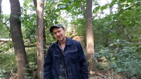 ОТец ищет лисичку серую 13 августа