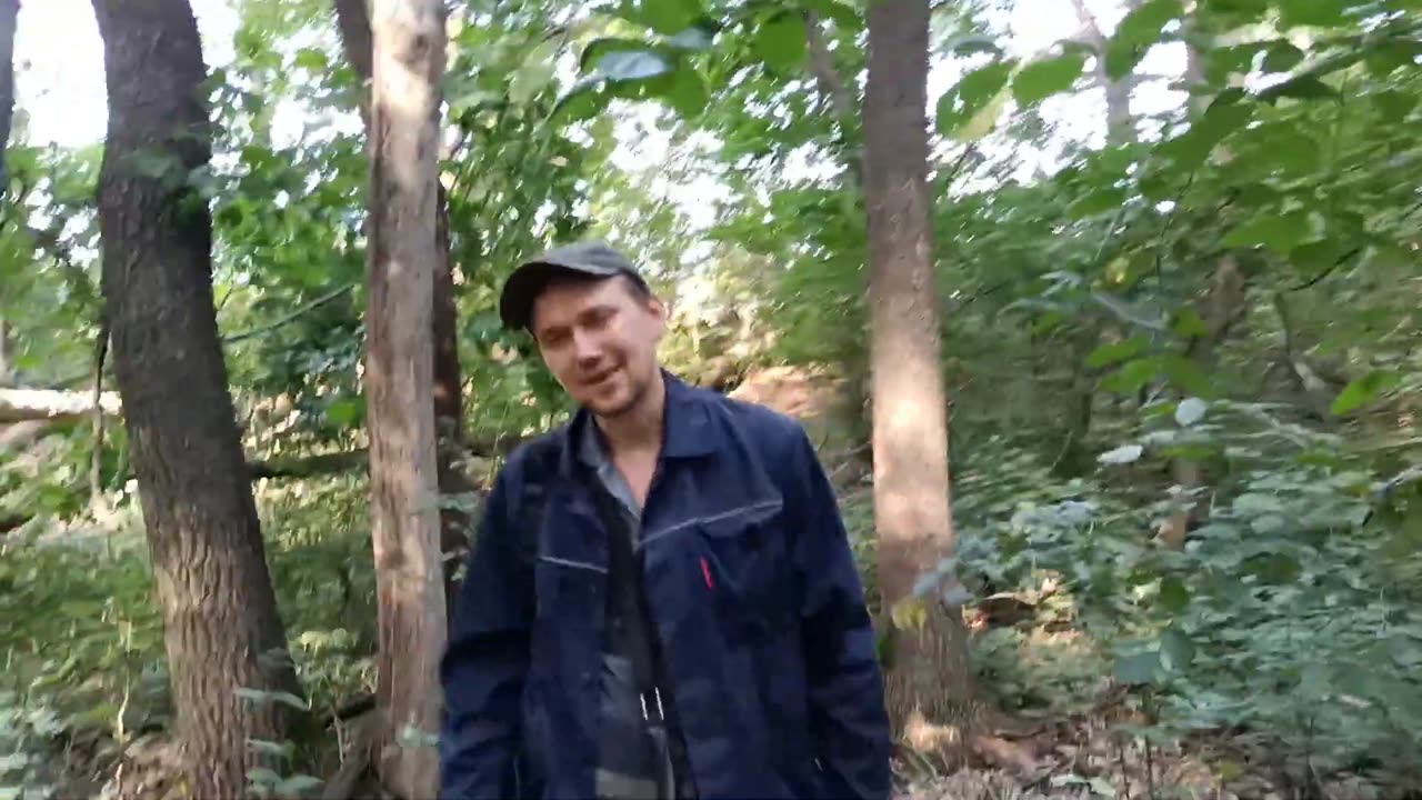 ОТец ищет лисичку серую 13 августа