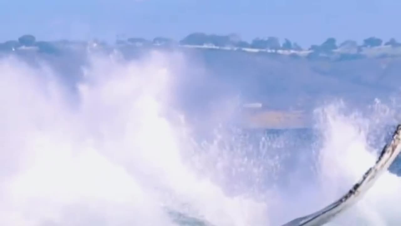 Gigantic whale shark makes scuba divers look like cute