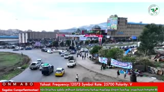 Oduu 𝙶𝚊𝚗𝚊𝚖𝚊 ONM-ABO Fulbaana 4-2025 itti dhiyaadhaa!